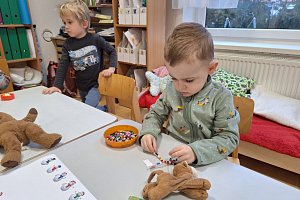 fotografie 10525