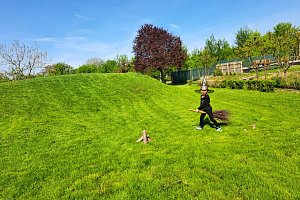 fotografie 10977