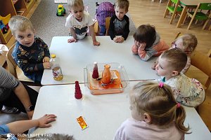 fotografie 11206