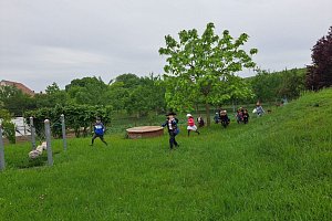fotografie 11165