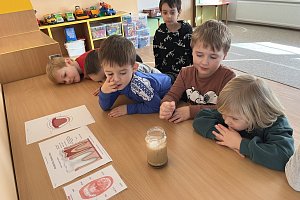 fotografie 11388