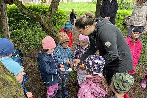 fotografie 11041