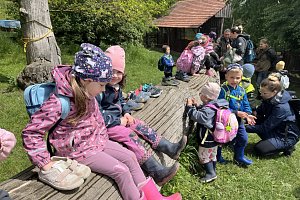 fotografie 11072