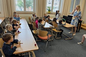 fotografie 11413
