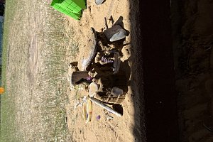 IMG-8689.jpeg